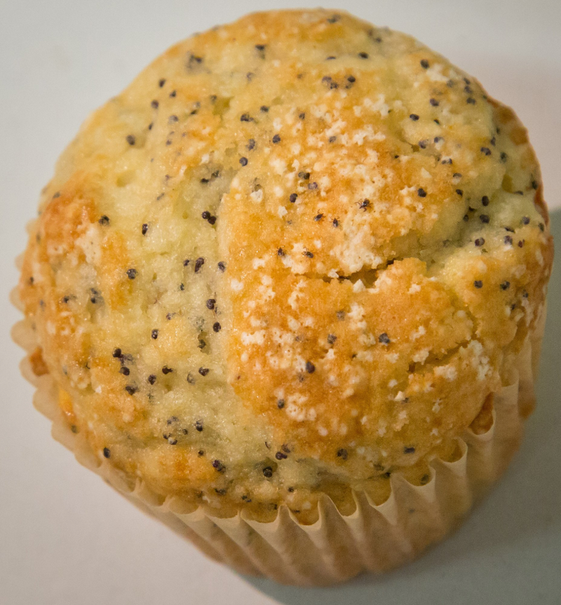 Illustration for article titled Hay cinco garrapatas en este muffin y más te vale encontrarlas si vas a salir al campo este verano